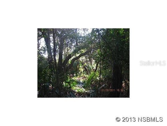Photo 14 of 20