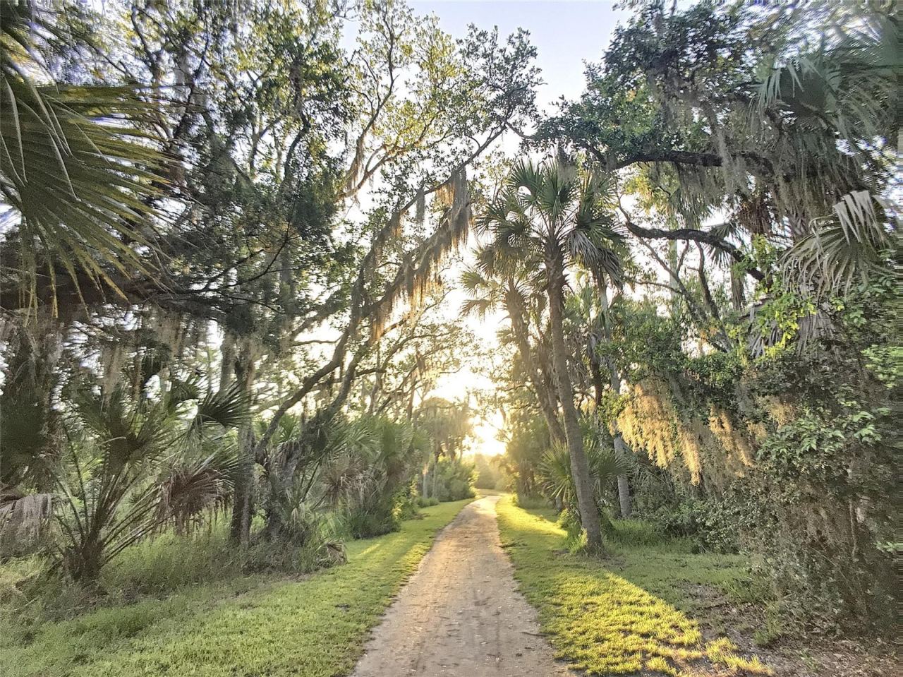Photo 17 of 20: Old Florida Trail in Park to River