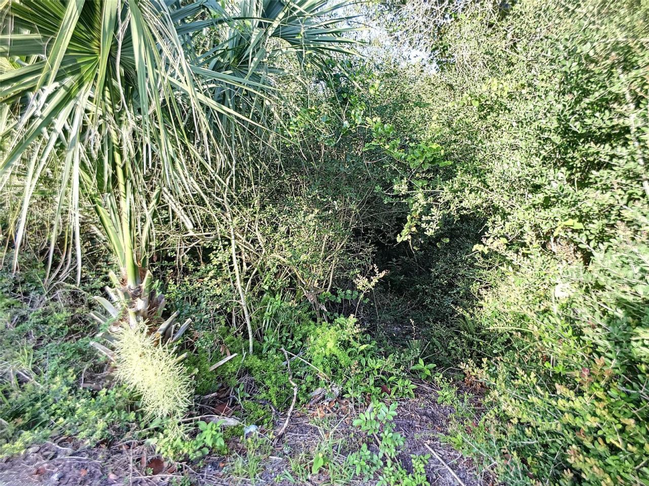 Photo 9 of 20