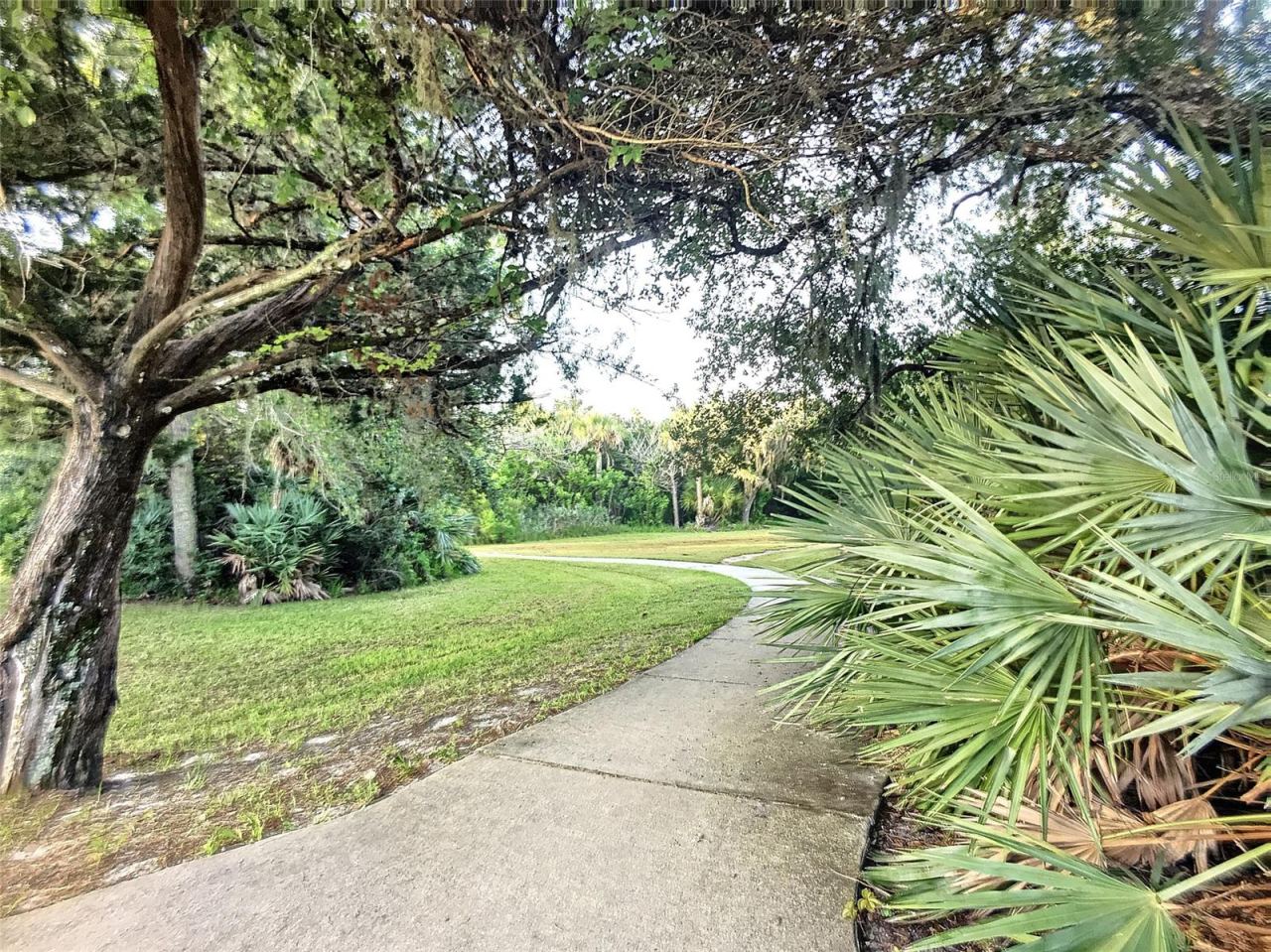 Photo 16 of 20: Indian River Lagoon Park