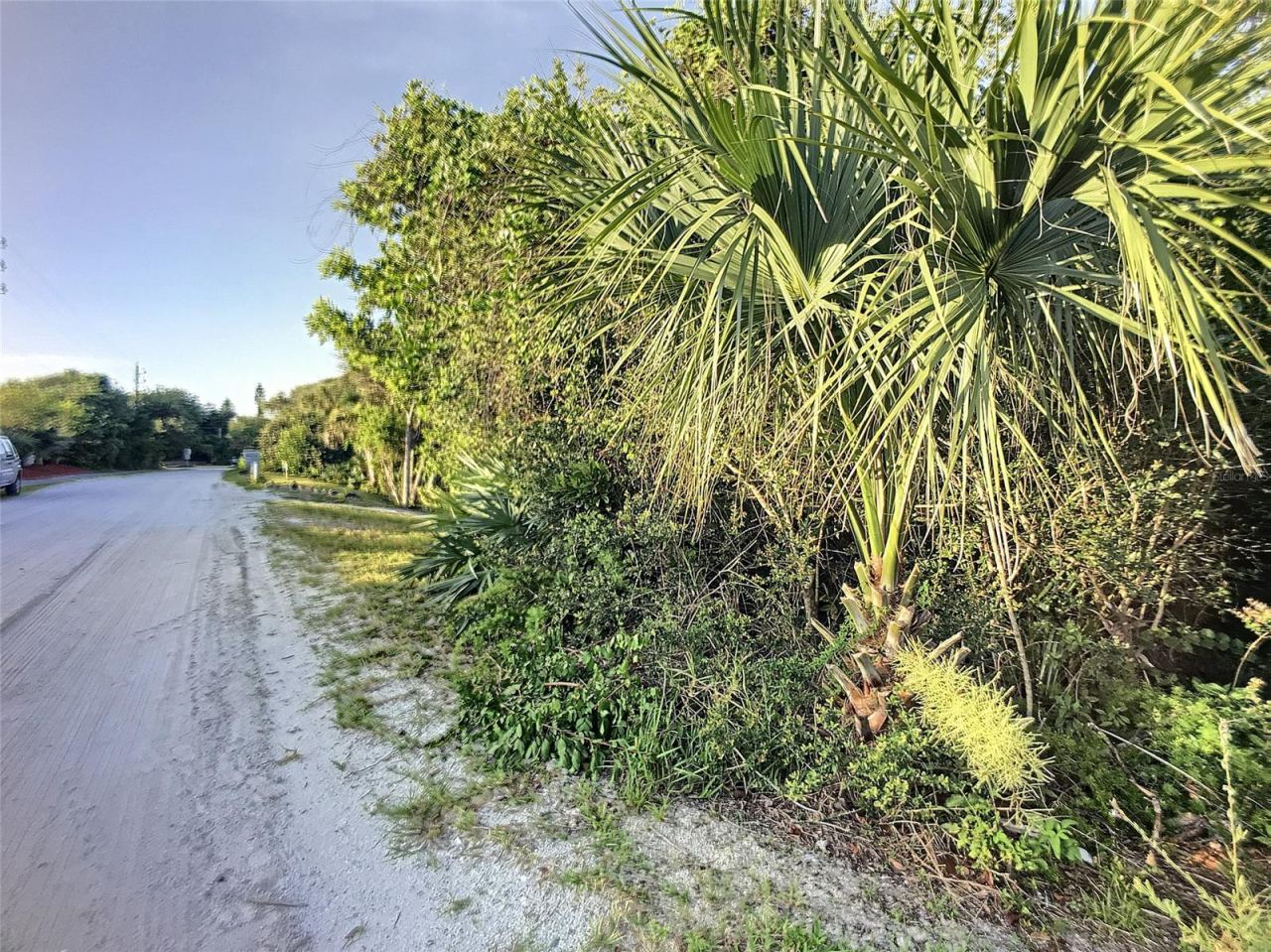 Photo 7 of 20