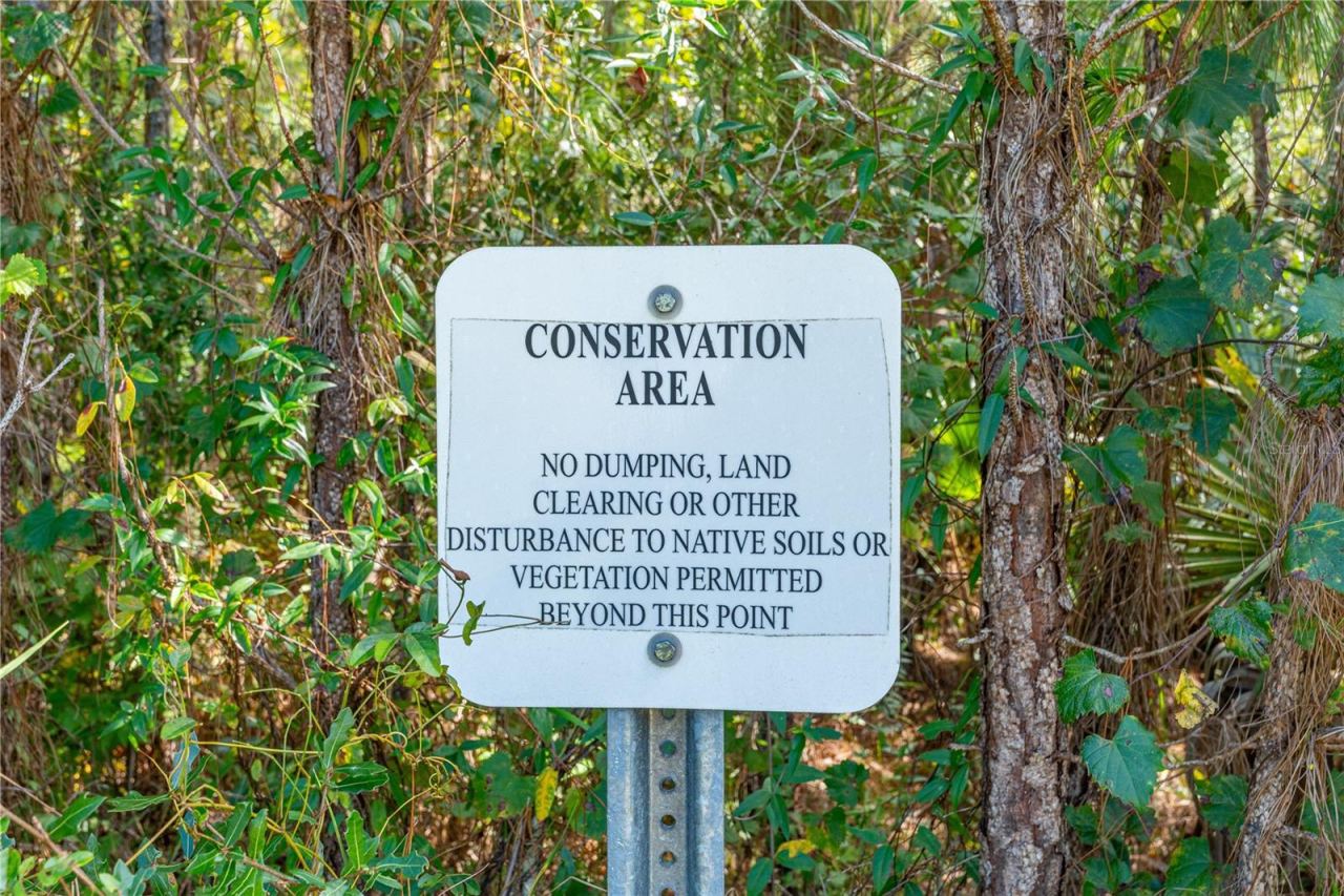 Photo 9 of 20: Backs up to Conservation