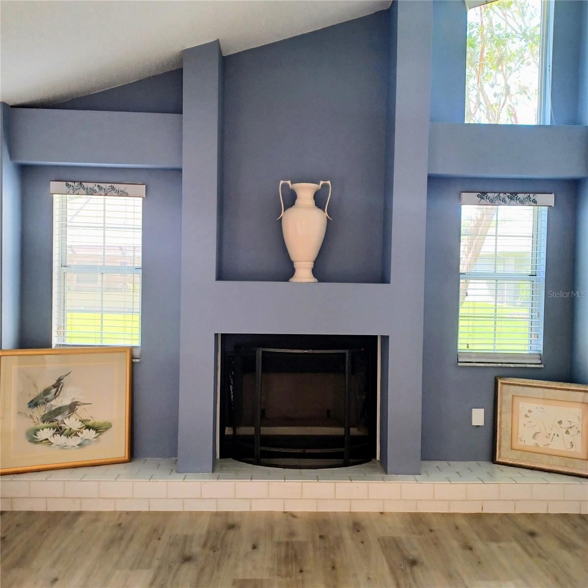Photo 7 of 20: Family Room with Fireplace