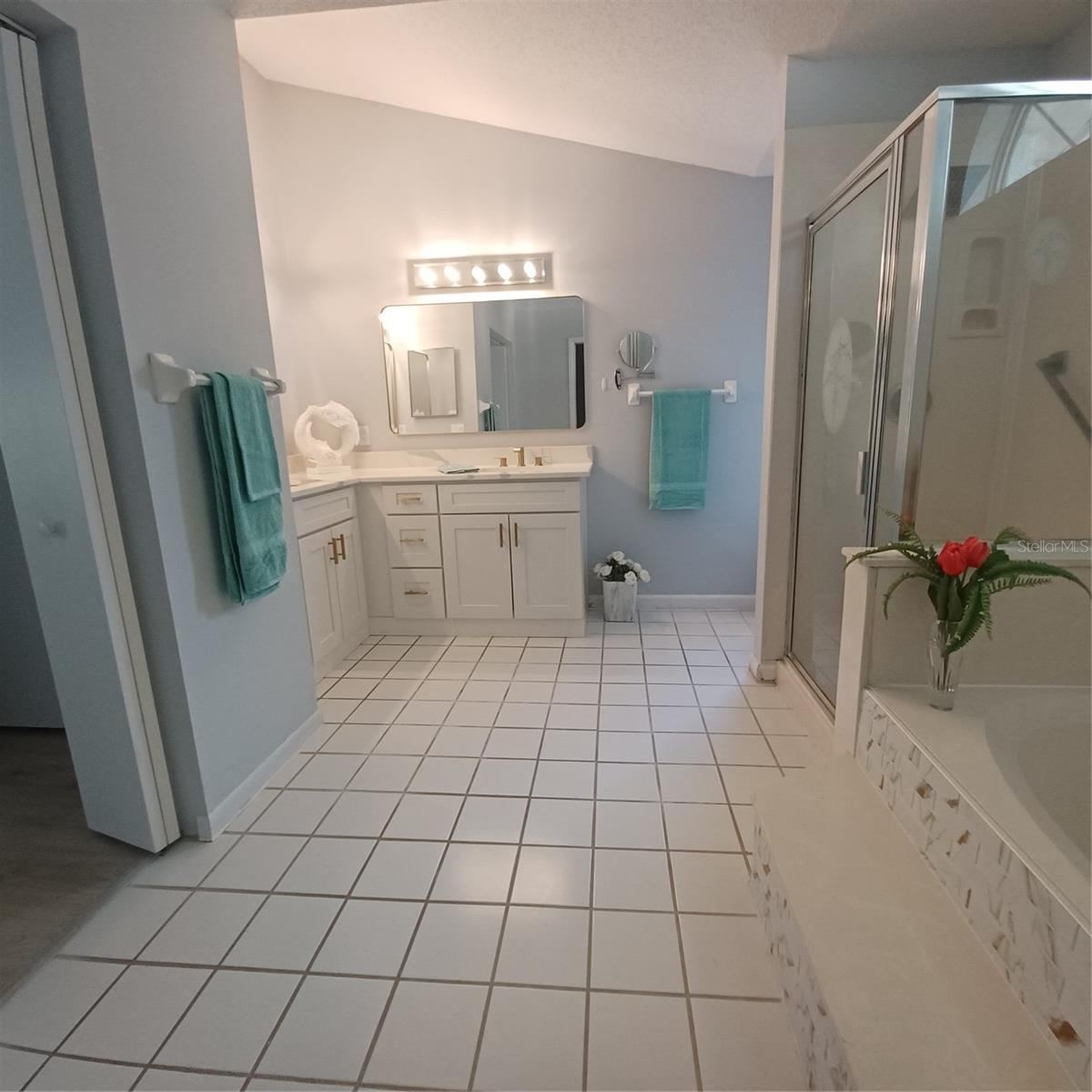 Photo 11 of 20: Primary Bath with tub and separate shower