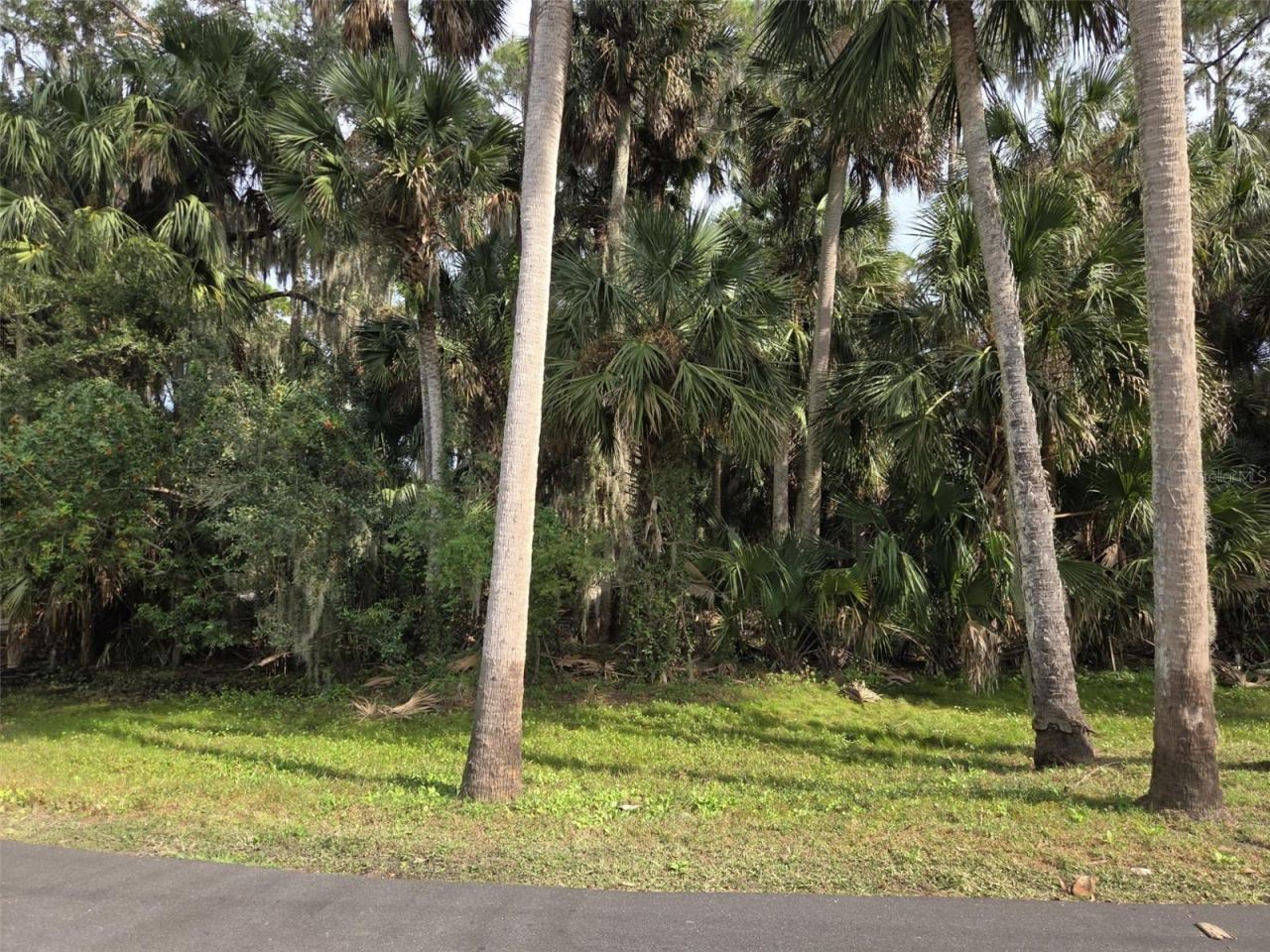 Photo 3 of 12