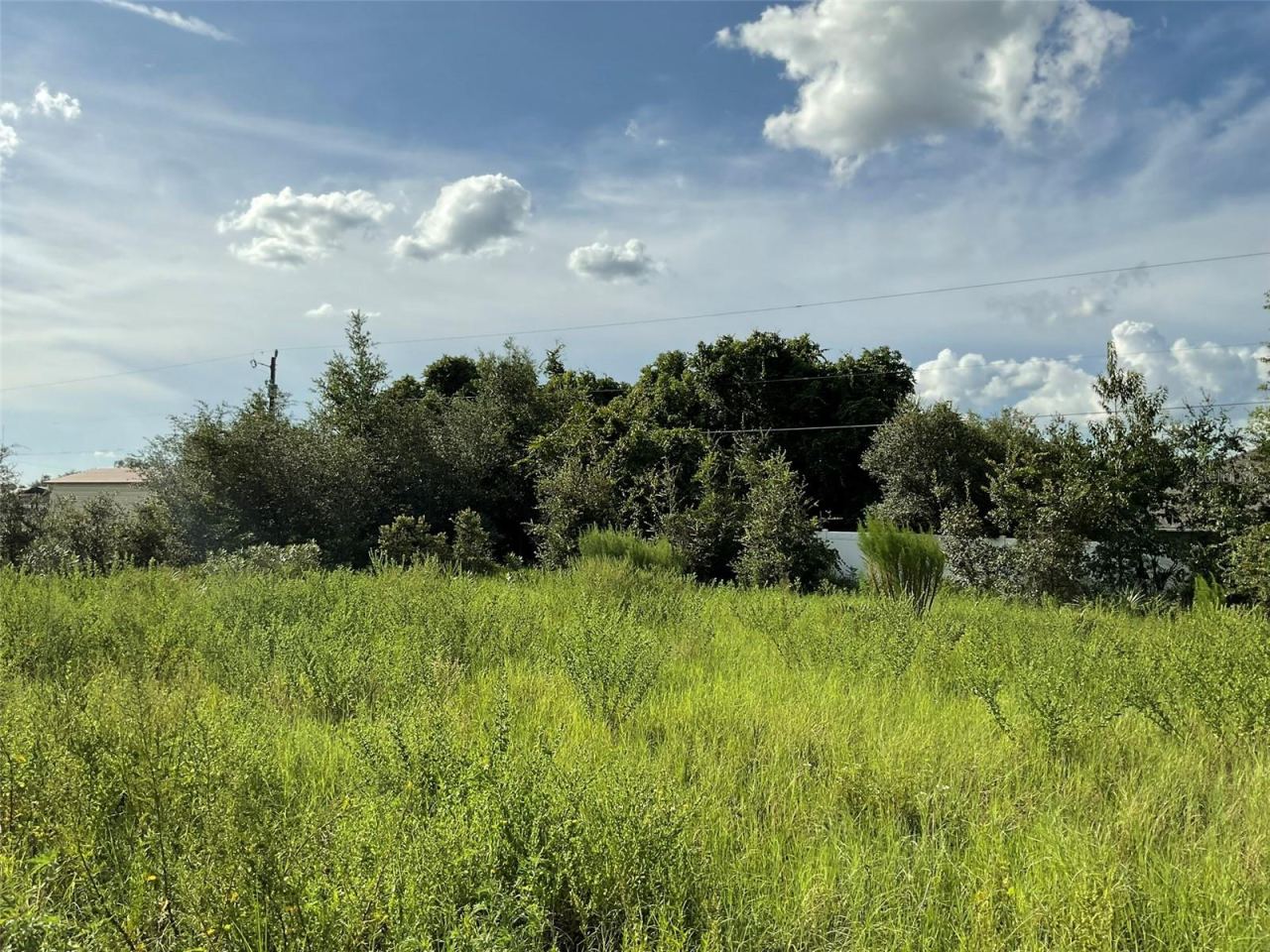 Photo 8 of 8: Rear View - Property starts at Tree Line