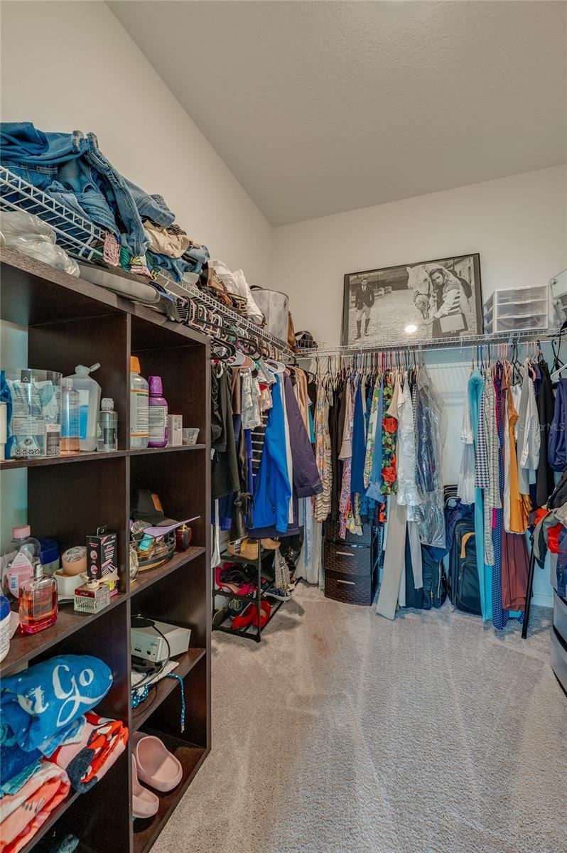 Photo 20 of 20: Substantial walk-in master closet complete with built-in wire shelving and hanging racks that offer abundant storage space. The room is fully carpeted and features high ceilings.