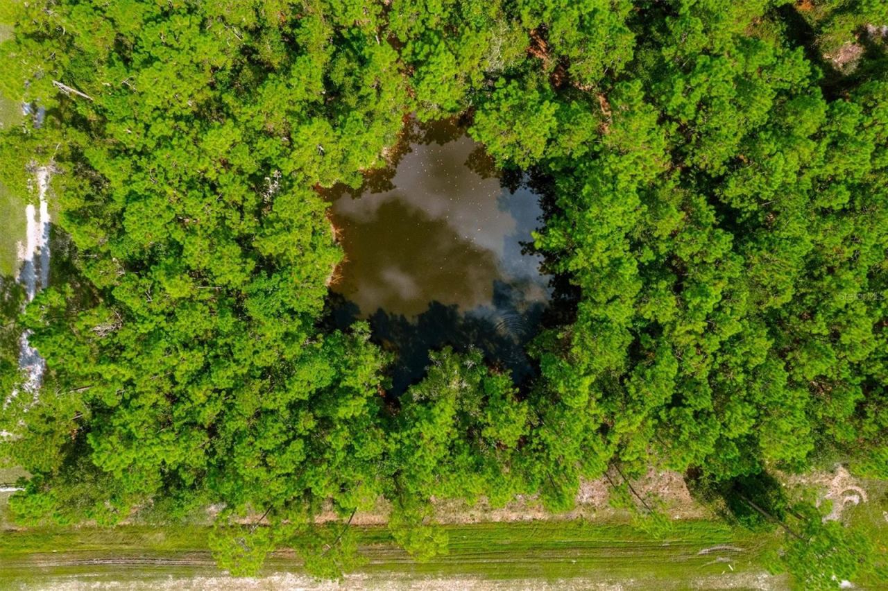 Photo 12 of 13