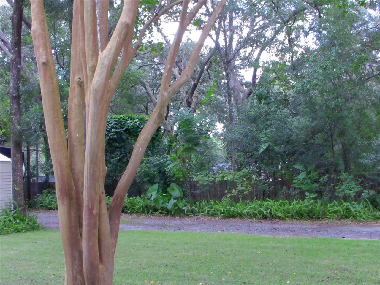 Photo 4 of 20