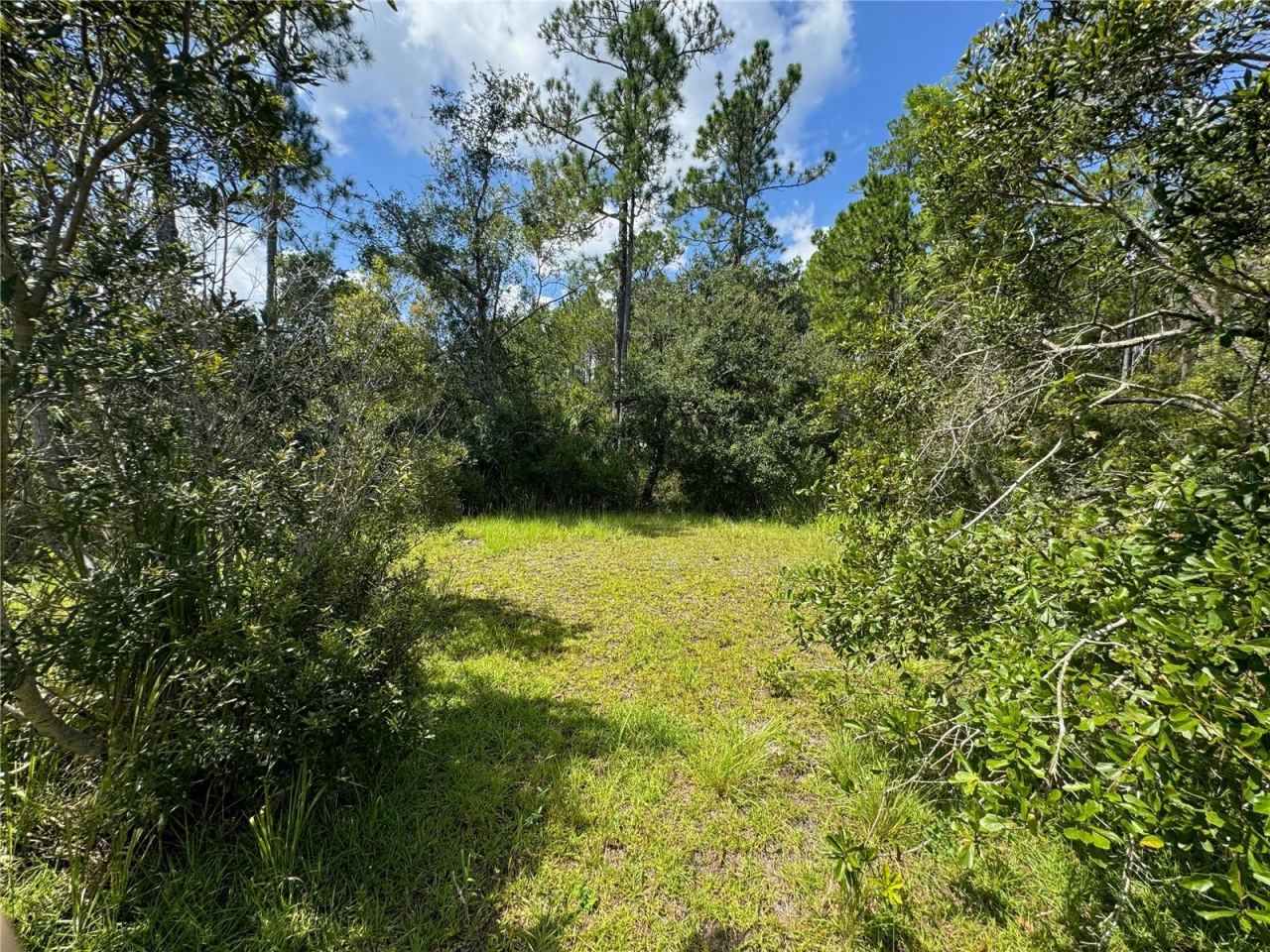 Photo 20 of 20