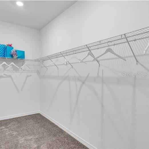 Photo 12 of 20: Walk In Closet