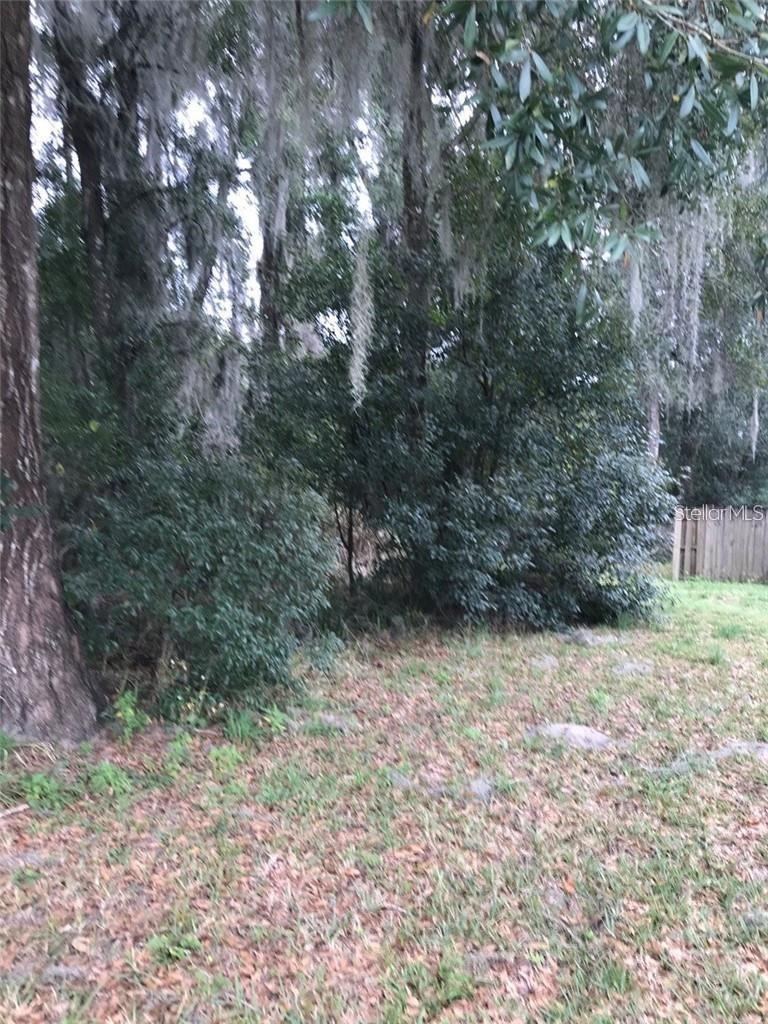 Photo 3 of 5
