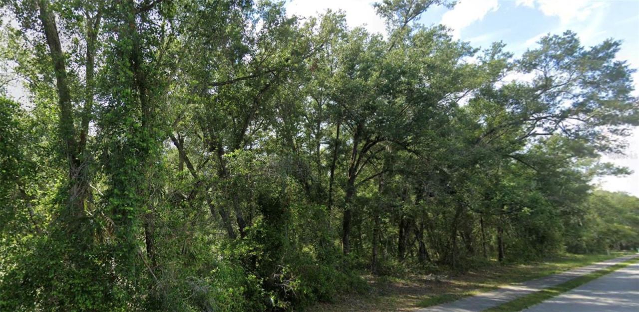 Photo 4 of 7