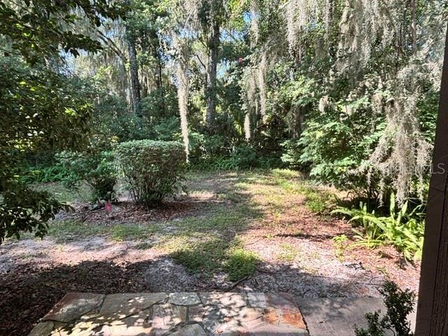 Photo 9 of 20: Side yard