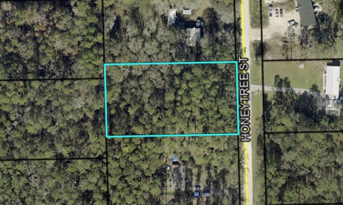 Photo 1 of 1