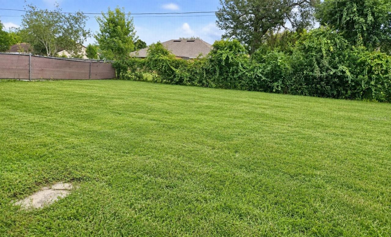 Photo 12 of 12: View of the Backyard