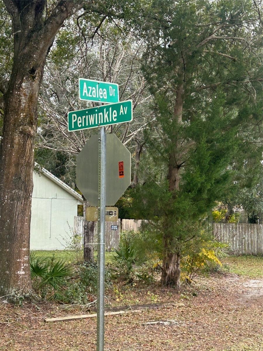 Photo 4 of 5