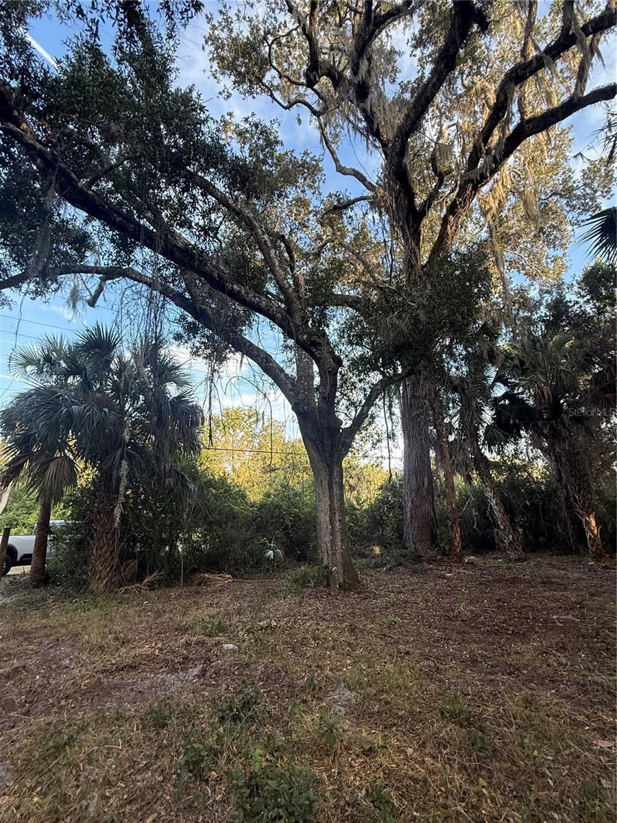 Photo 9 of 19