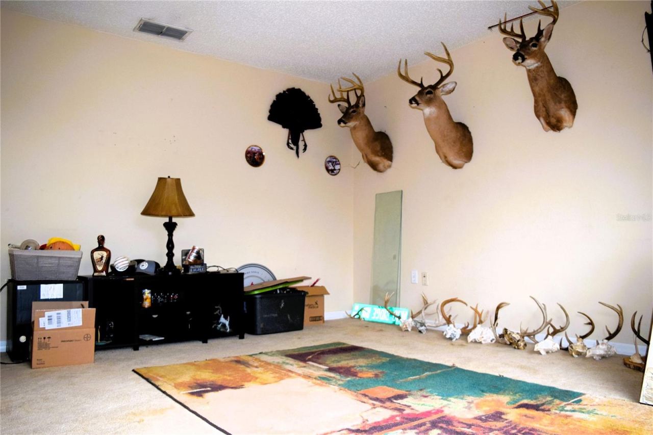 Photo 6 of 19: Formal Living room/ office/Den