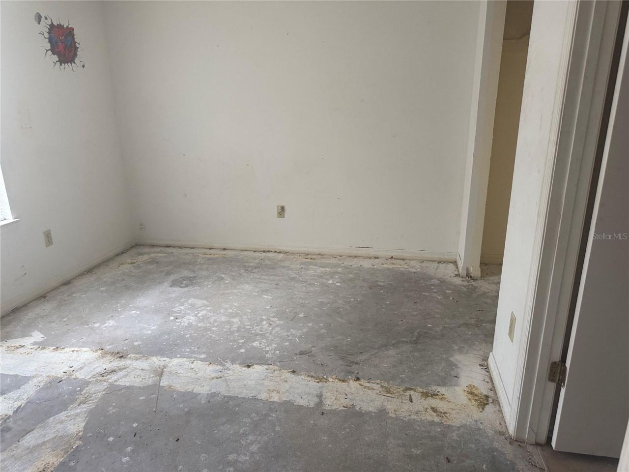 Photo 6 of 8