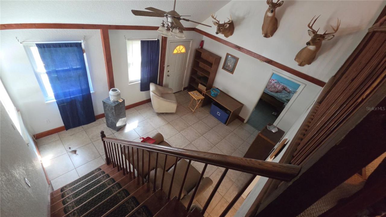 Photo 11 of 20