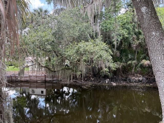 Photo 9 of 12: View of lot and canal from River Ridge Road.