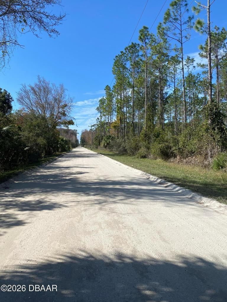 Photo 6 of 8: Road view