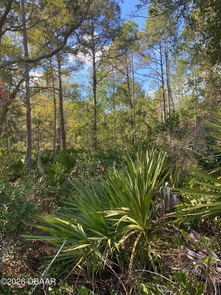 Photo 2 of 8: Property view