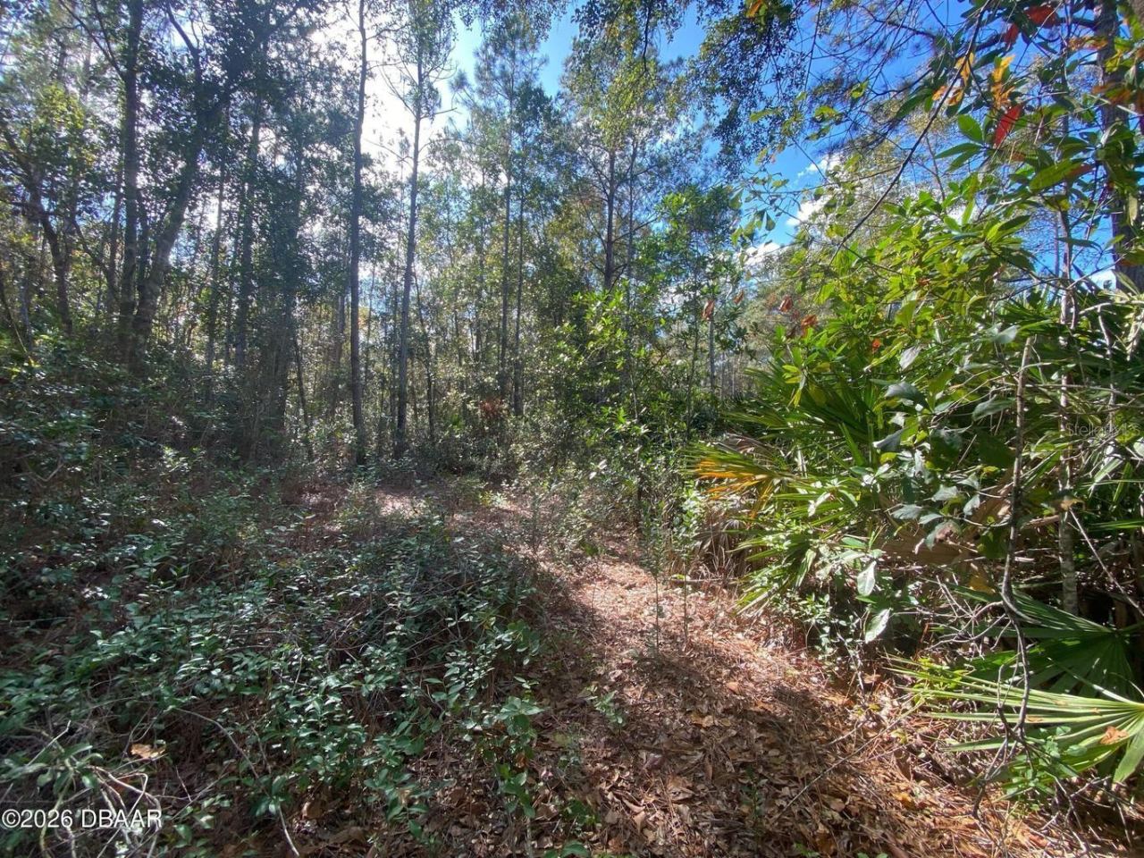 Photo 1 of 8: Property view
