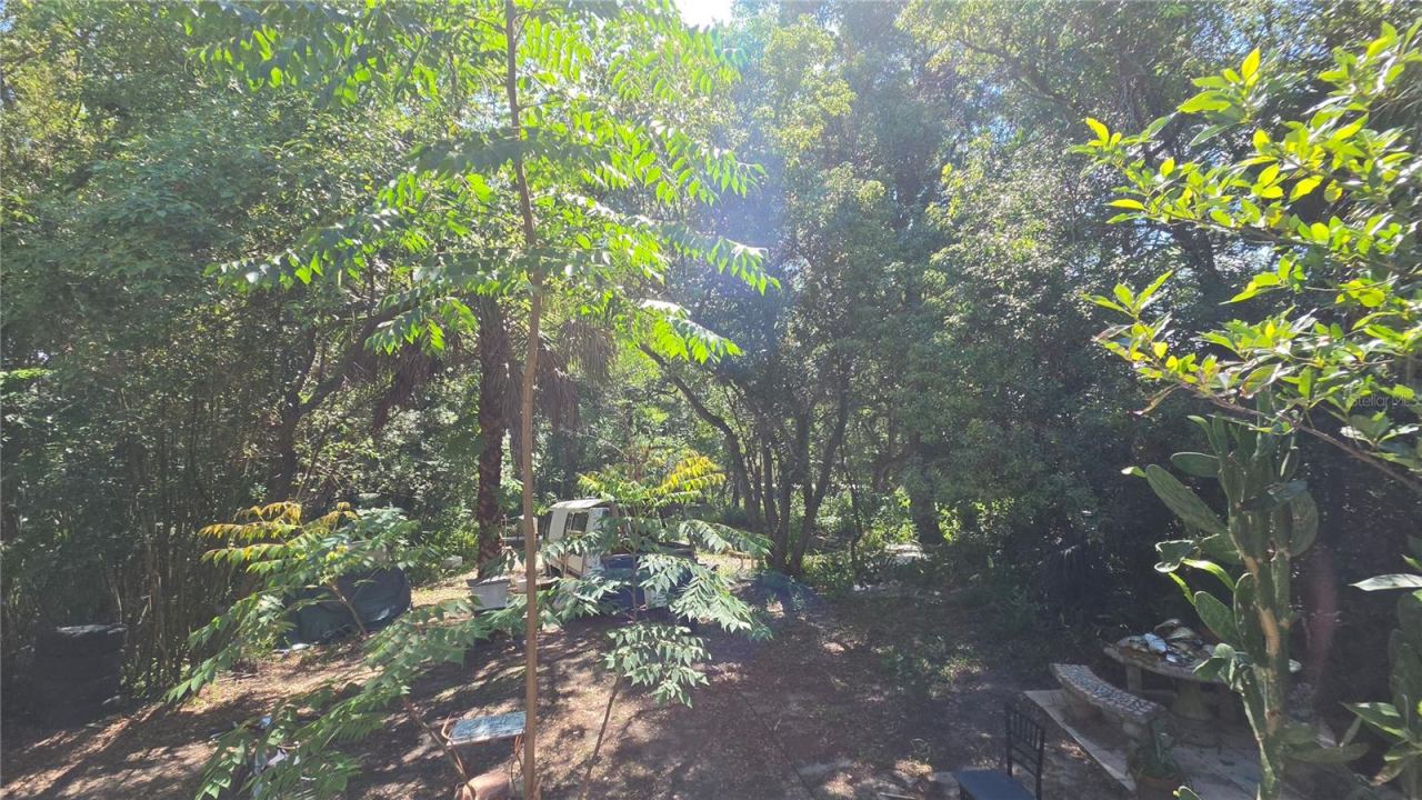 Photo 14 of 20