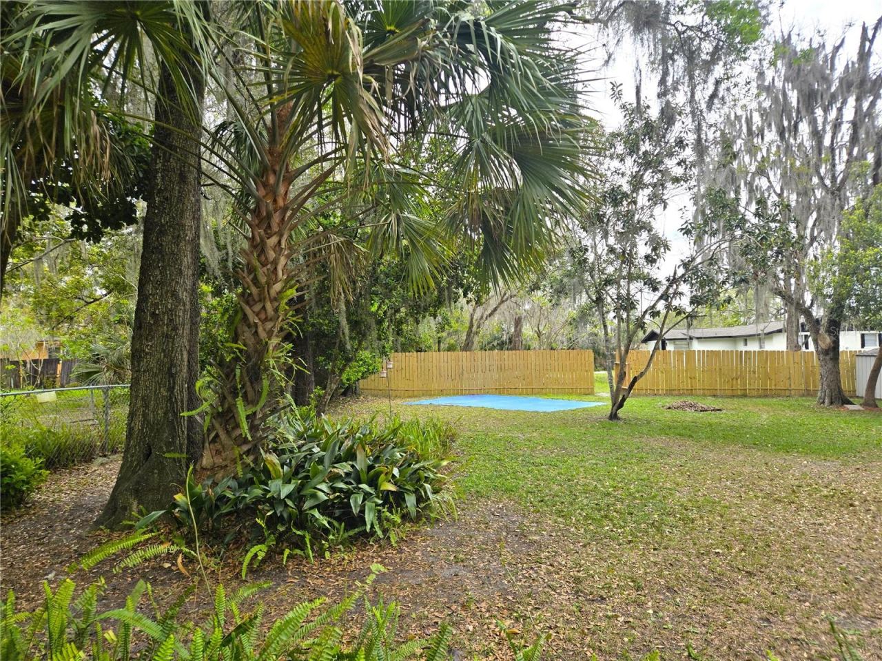 Photo 20 of 20: Bach yard
