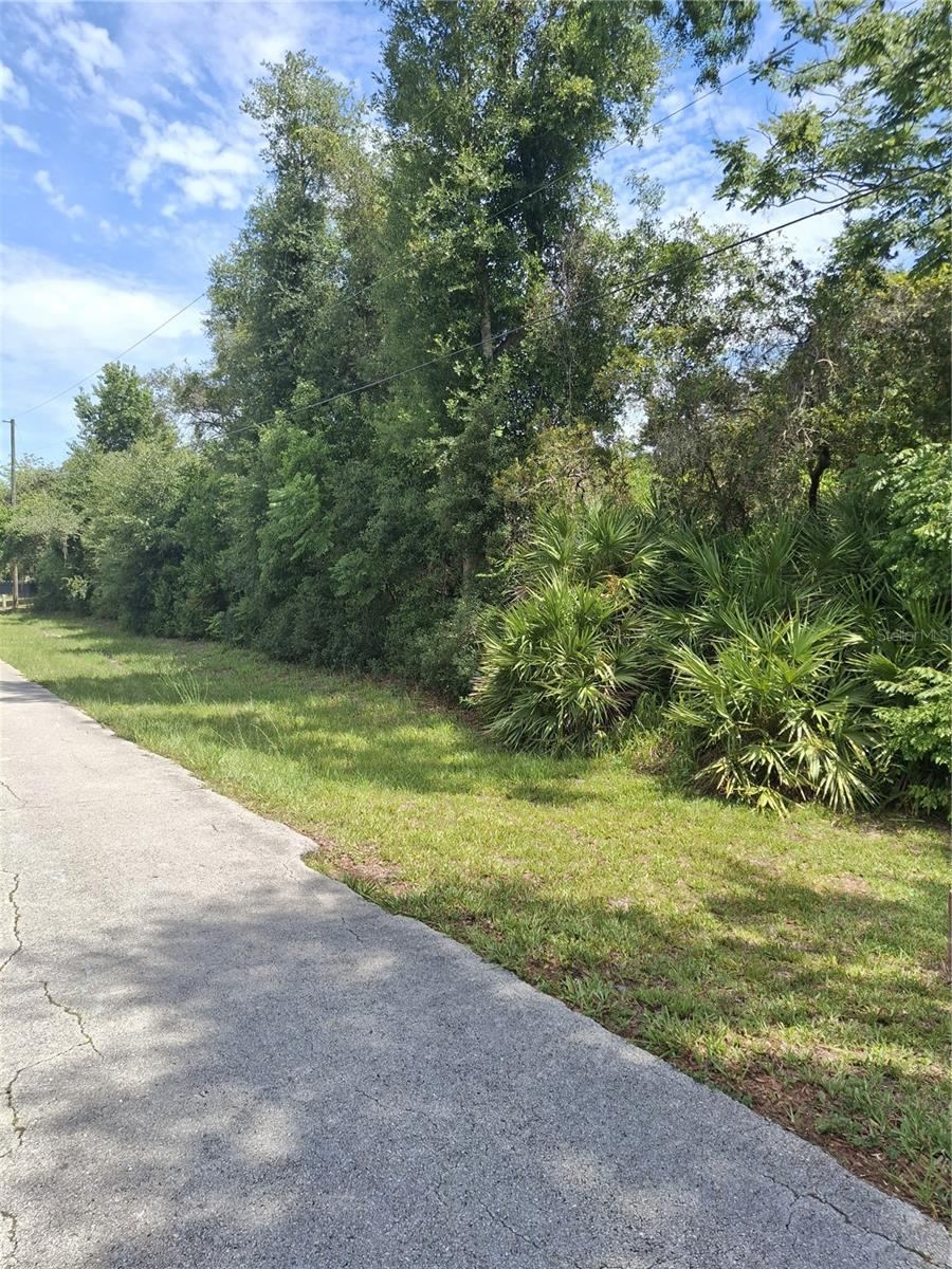 Photo 2 of 5: Street View