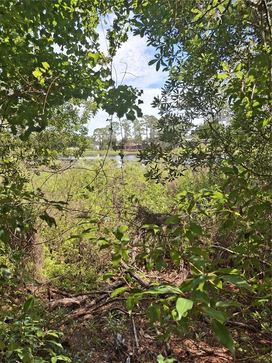 Photo 5 of 5: Inside lot
