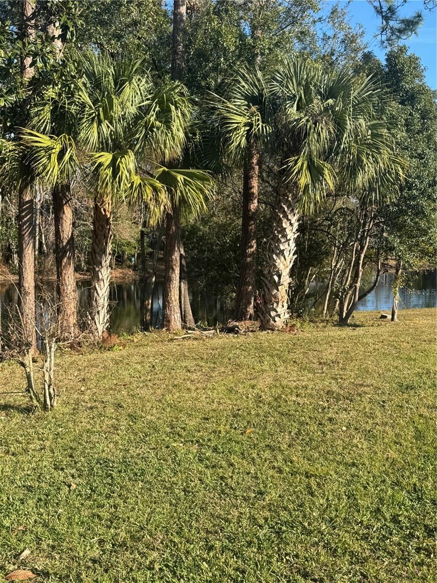 Photo 13 of 20