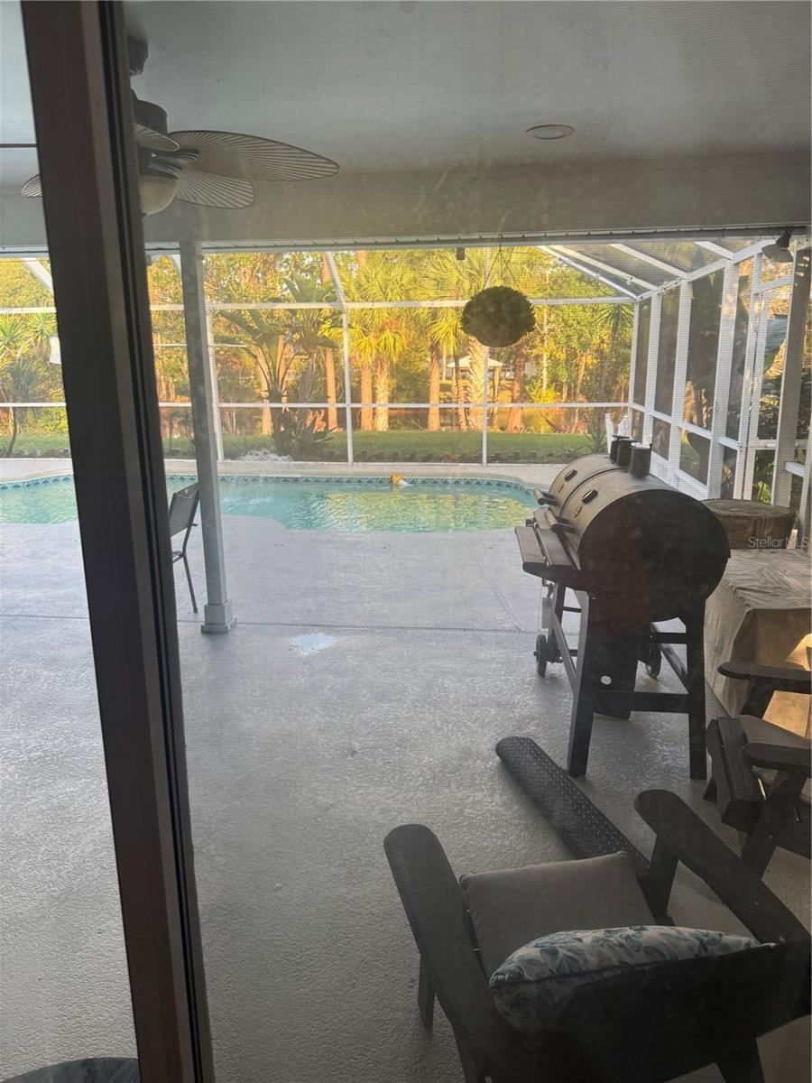 Photo 11 of 20