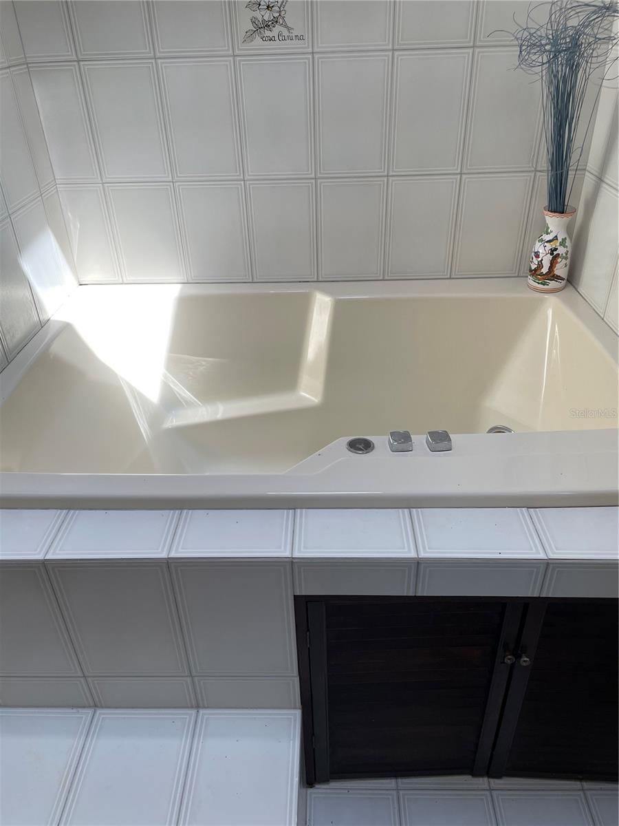 Photo 9 of 20: primary bathroom jacuzzi tub