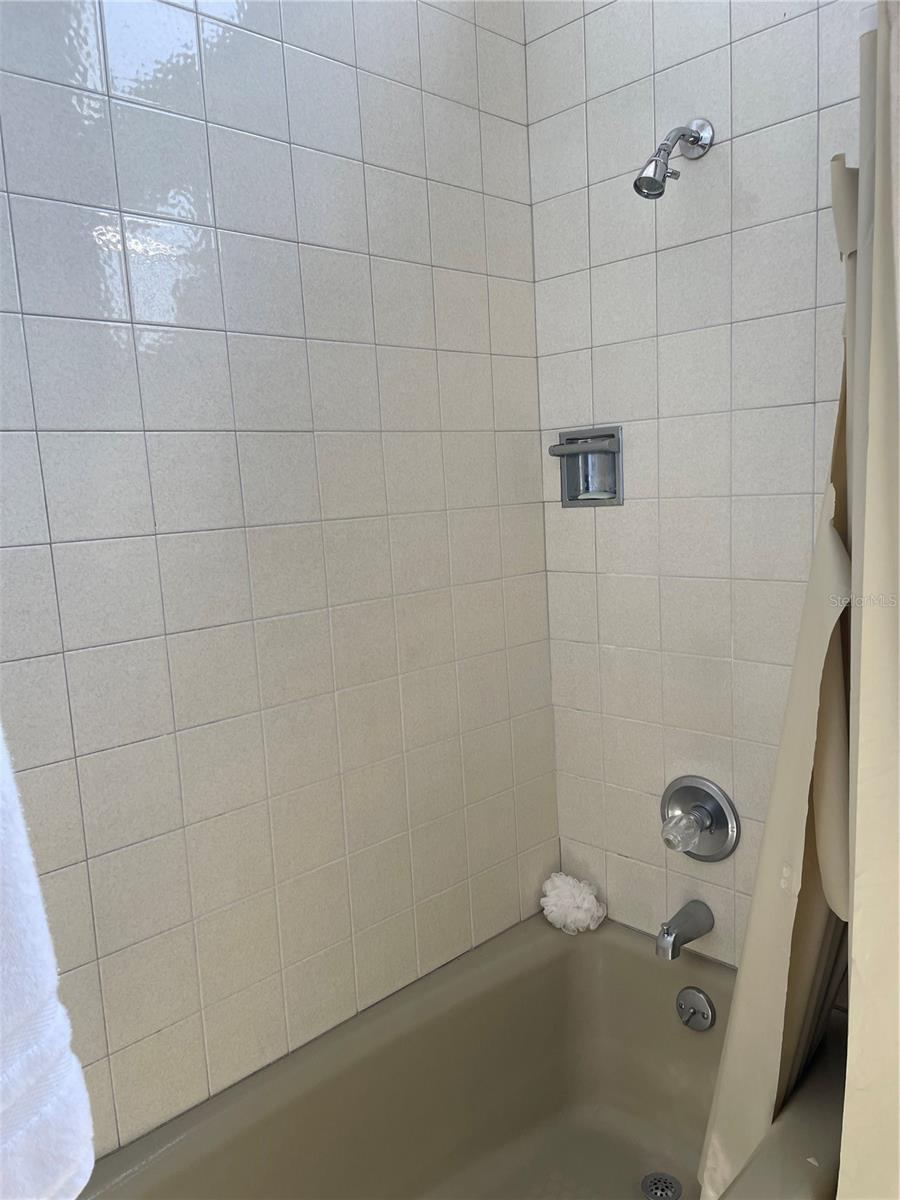 Photo 6 of 20: 2nd bathroom tub
