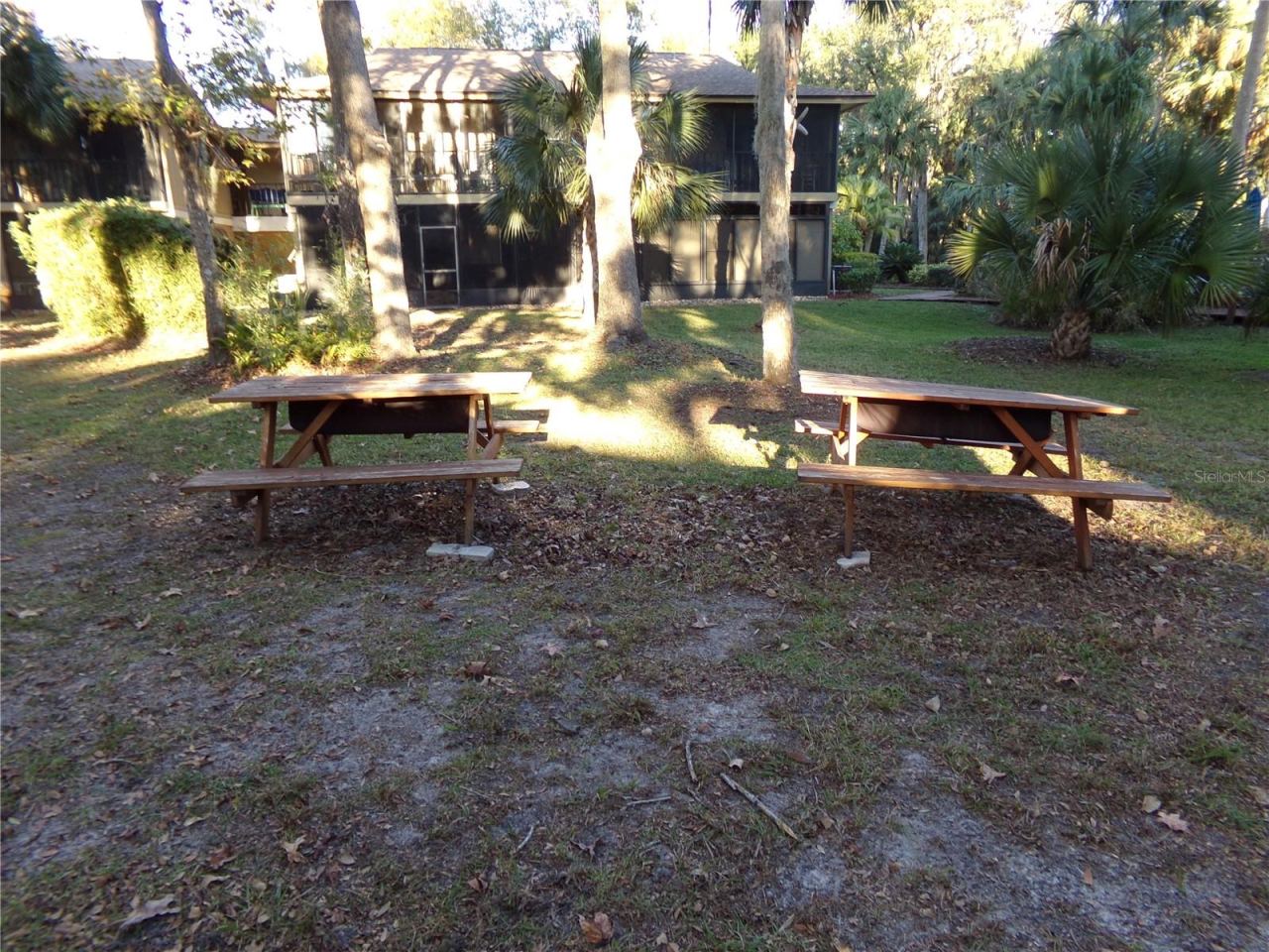 Photo 6 of 20