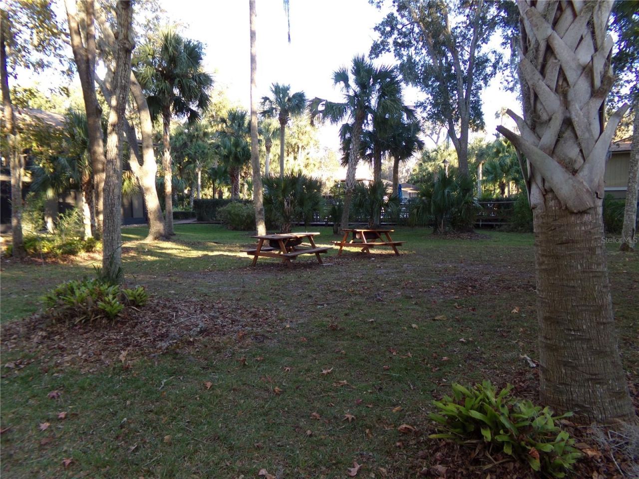 Photo 5 of 20