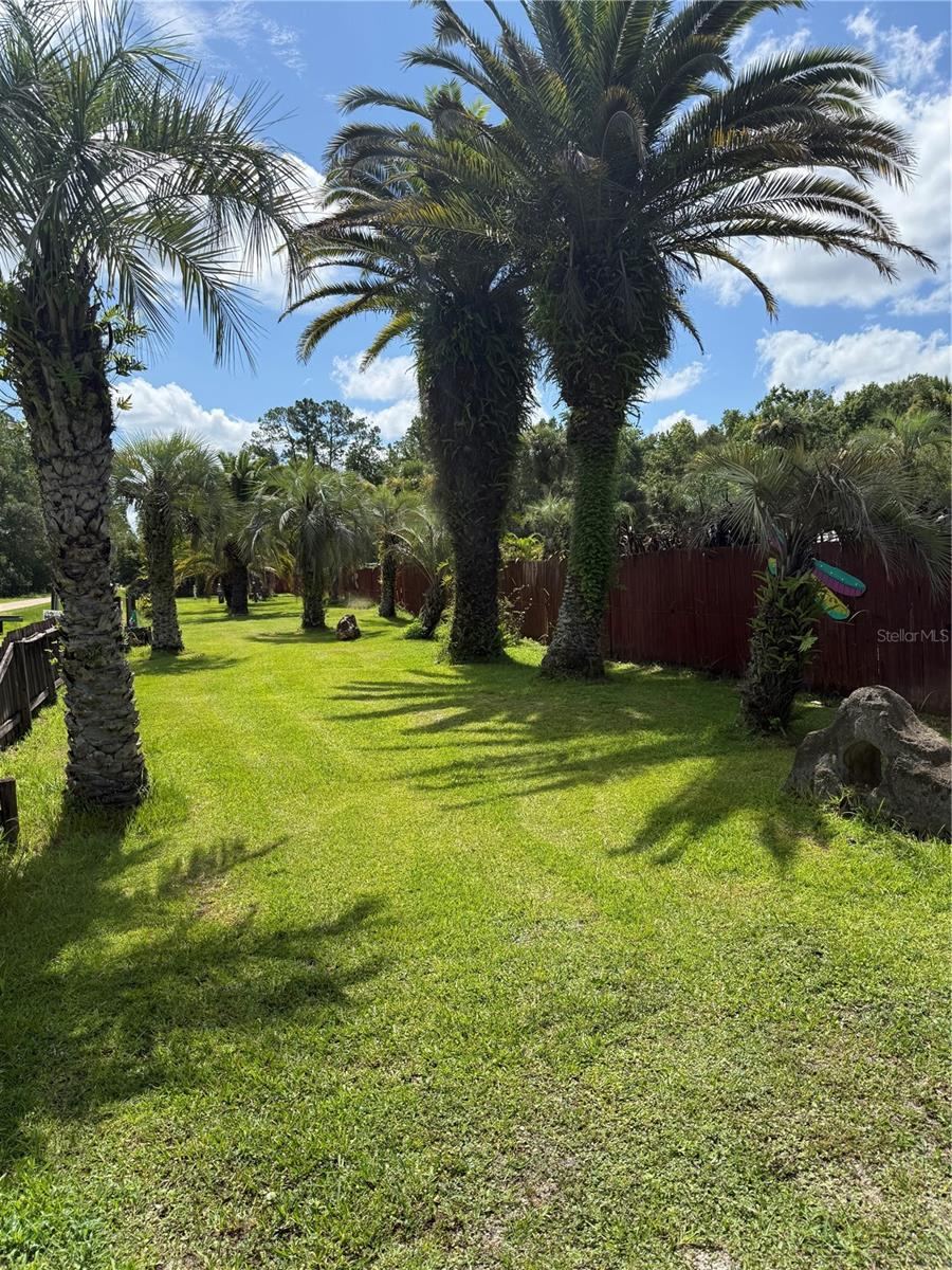 Photo 6 of 20
