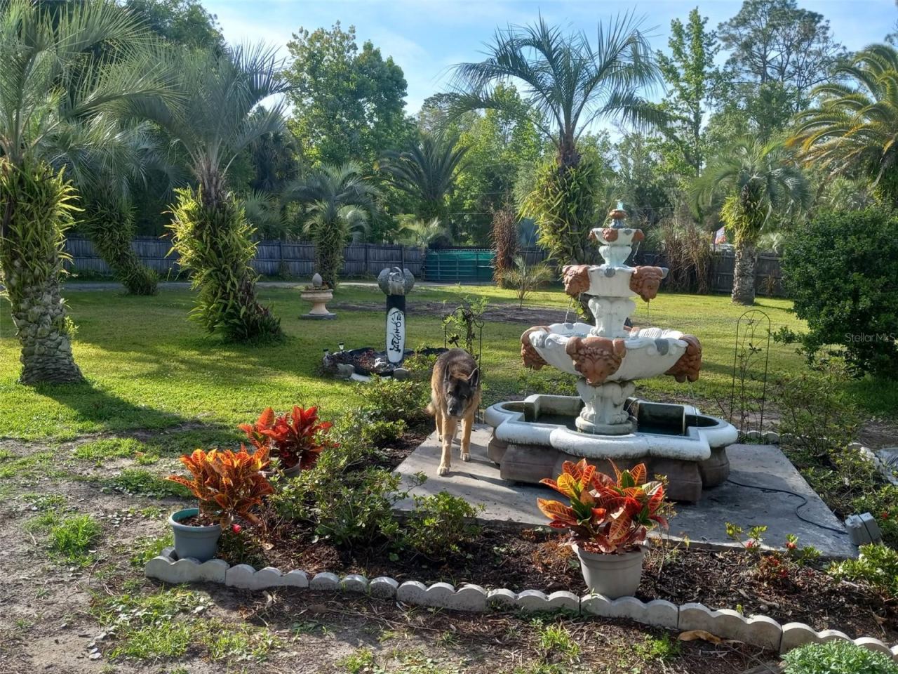 Photo 15 of 20