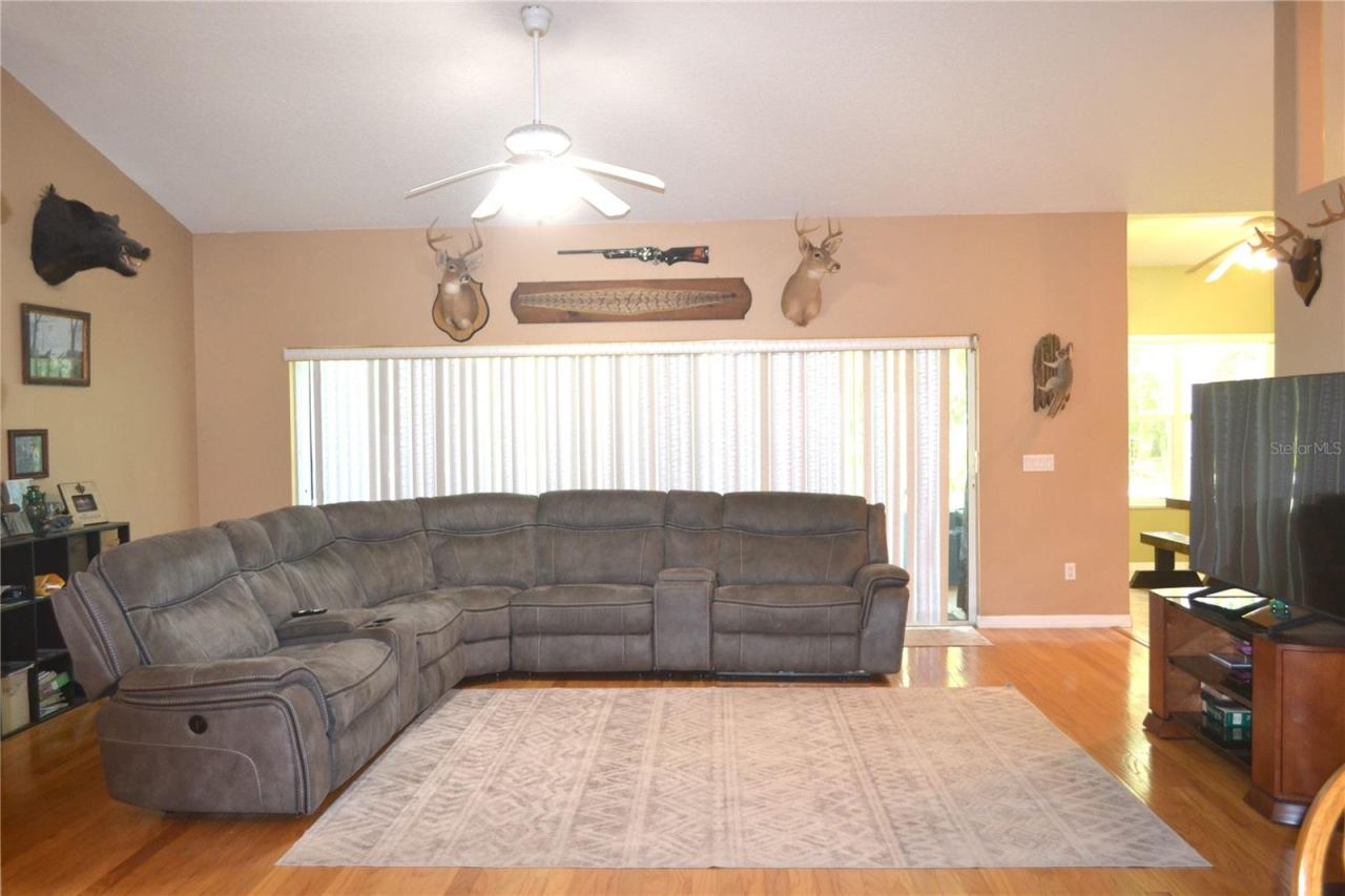Photo 14 of 20: LIVING ROOM