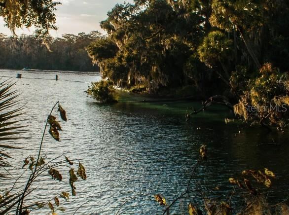 Photo 18 of 20: Blue Springs State Park