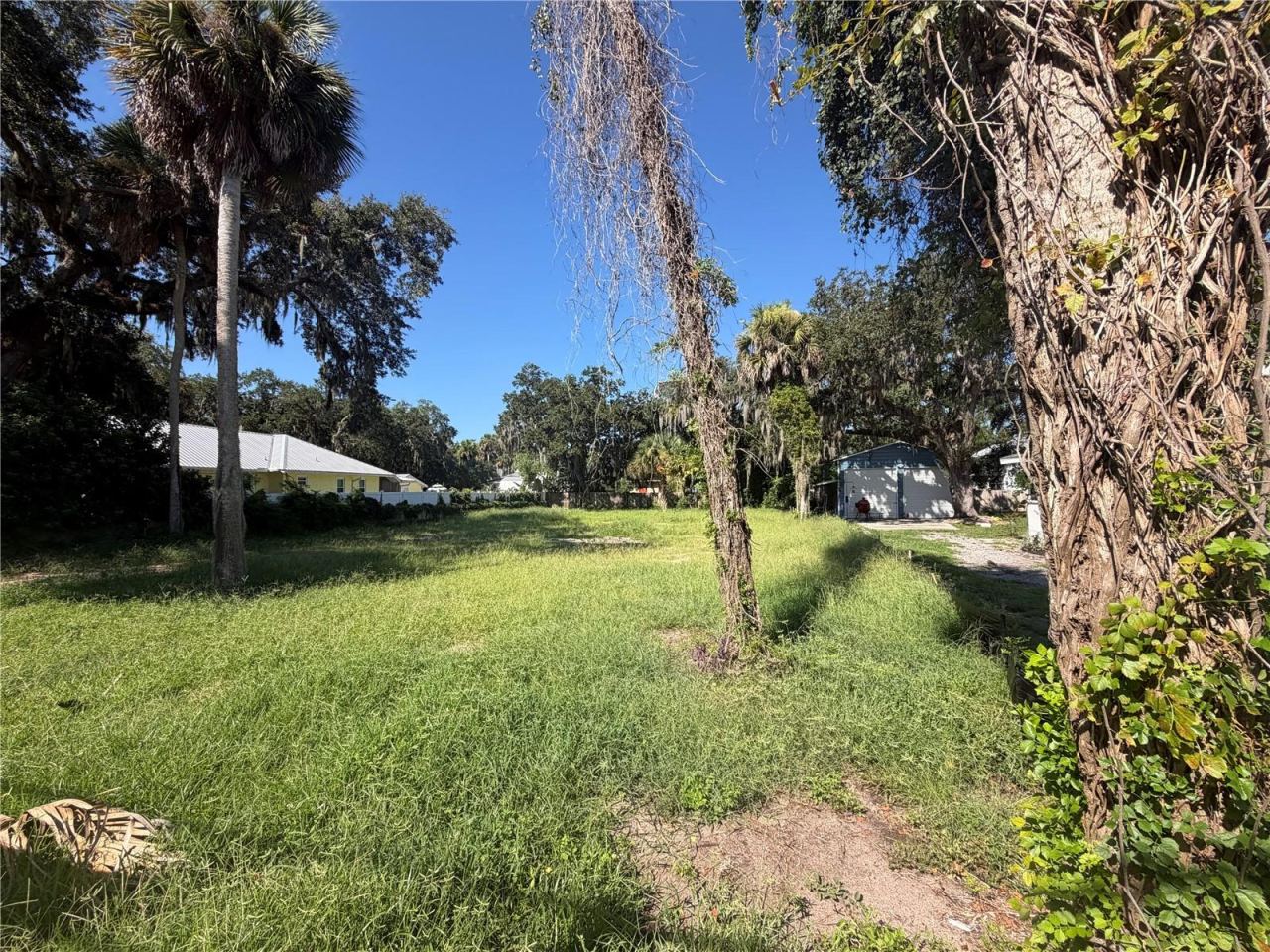 Photo 7 of 8: Cleared Lot - 75x160