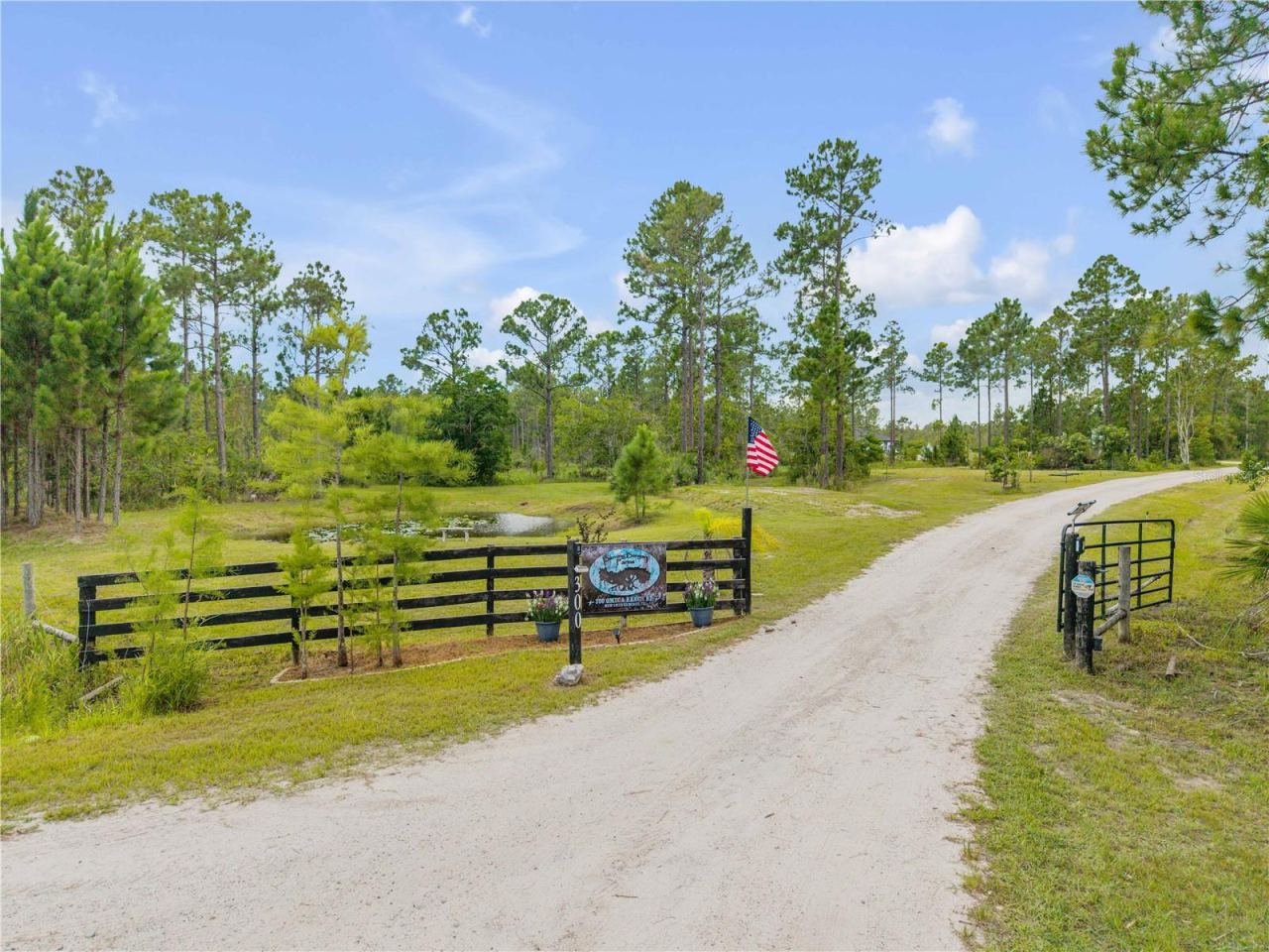 Photo 4 of 20: Entryway into YOUR NEW Property