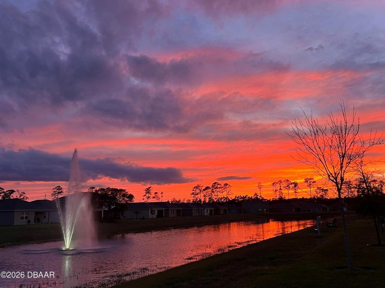 Photo 2 of 20