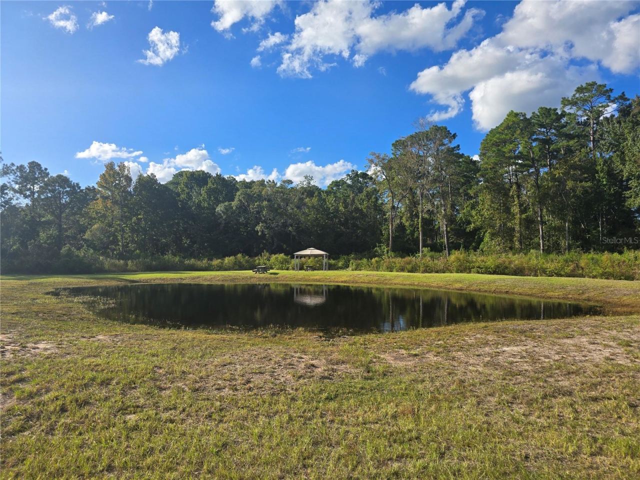 Photo 1 of 10: Pond View