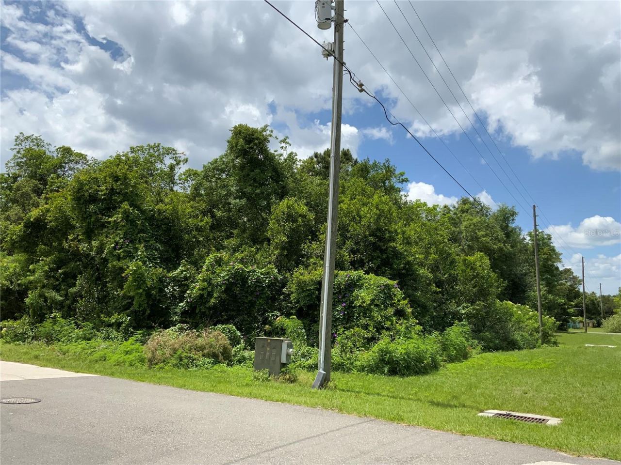 Photo 14 of 14: End of Property at Utility Pole - Survey Needed for Precise Boundaries
