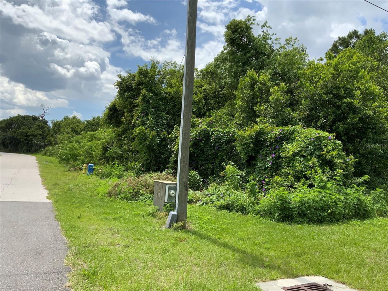 Photo 8 of 14: View of Lot on Right