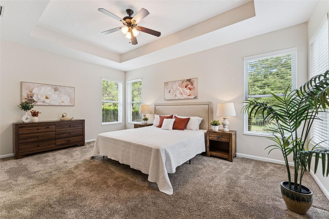 Photo 20 of 20: 18'6" x 13' Primary Bedroom w/ a tray ceiling & ceiling fan